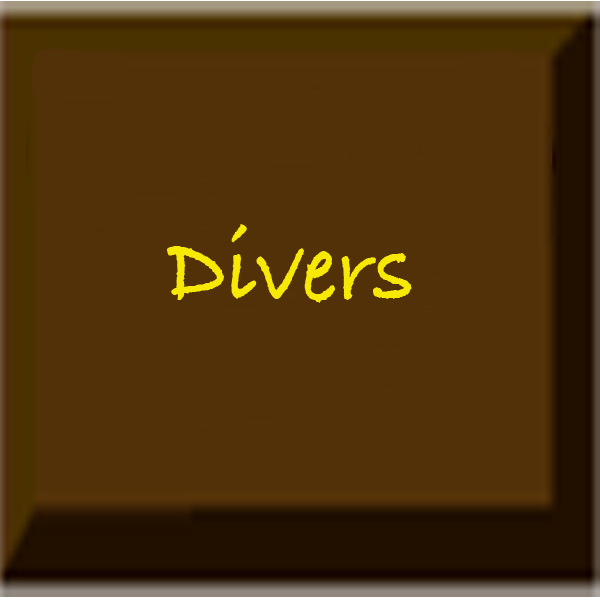 Divers