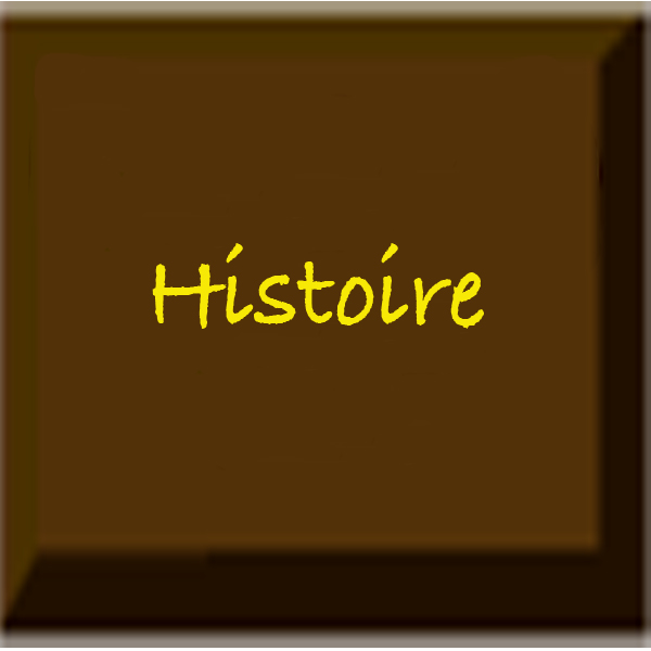 Histoire